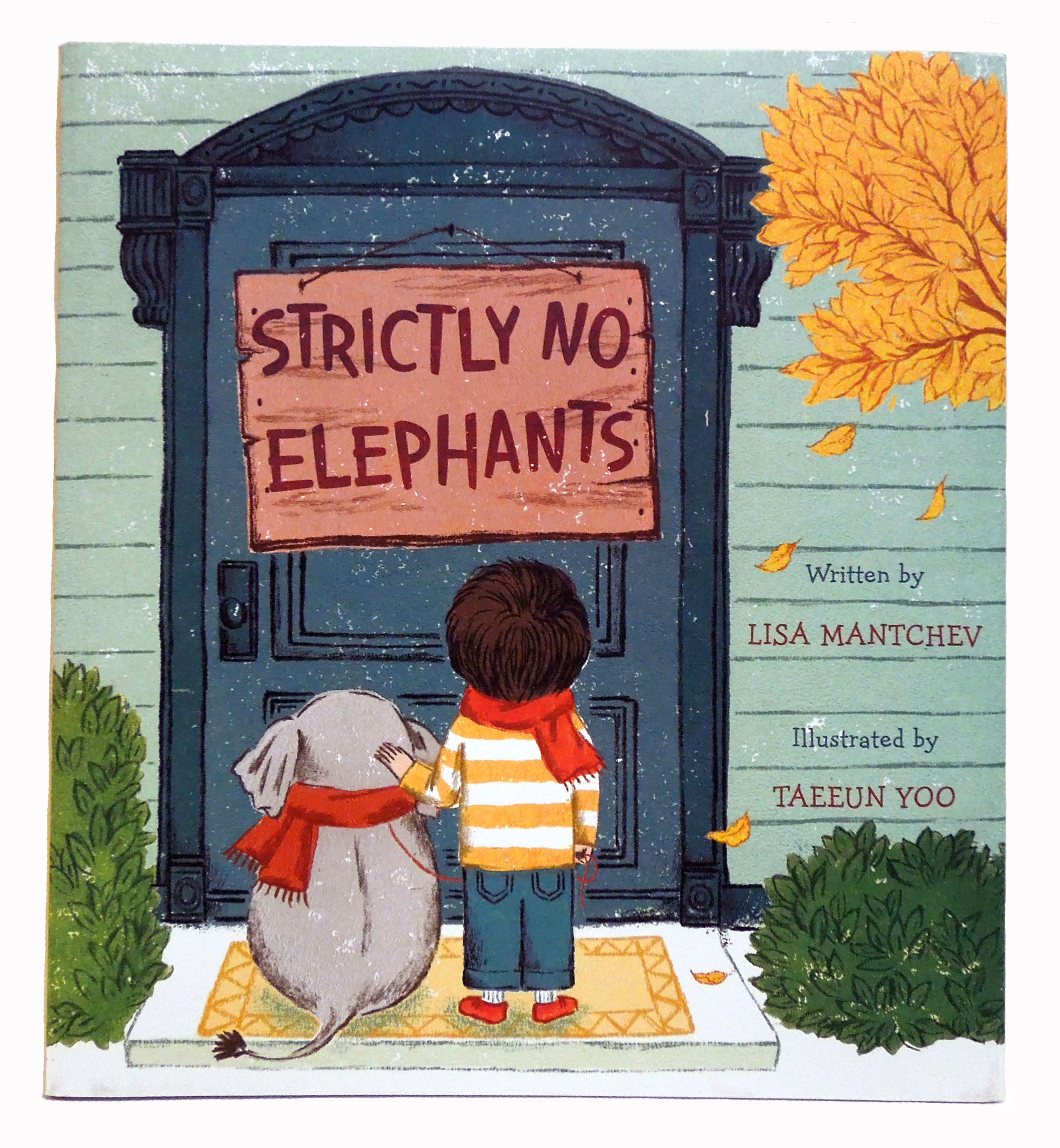 Cover of Strictly No Elephants book