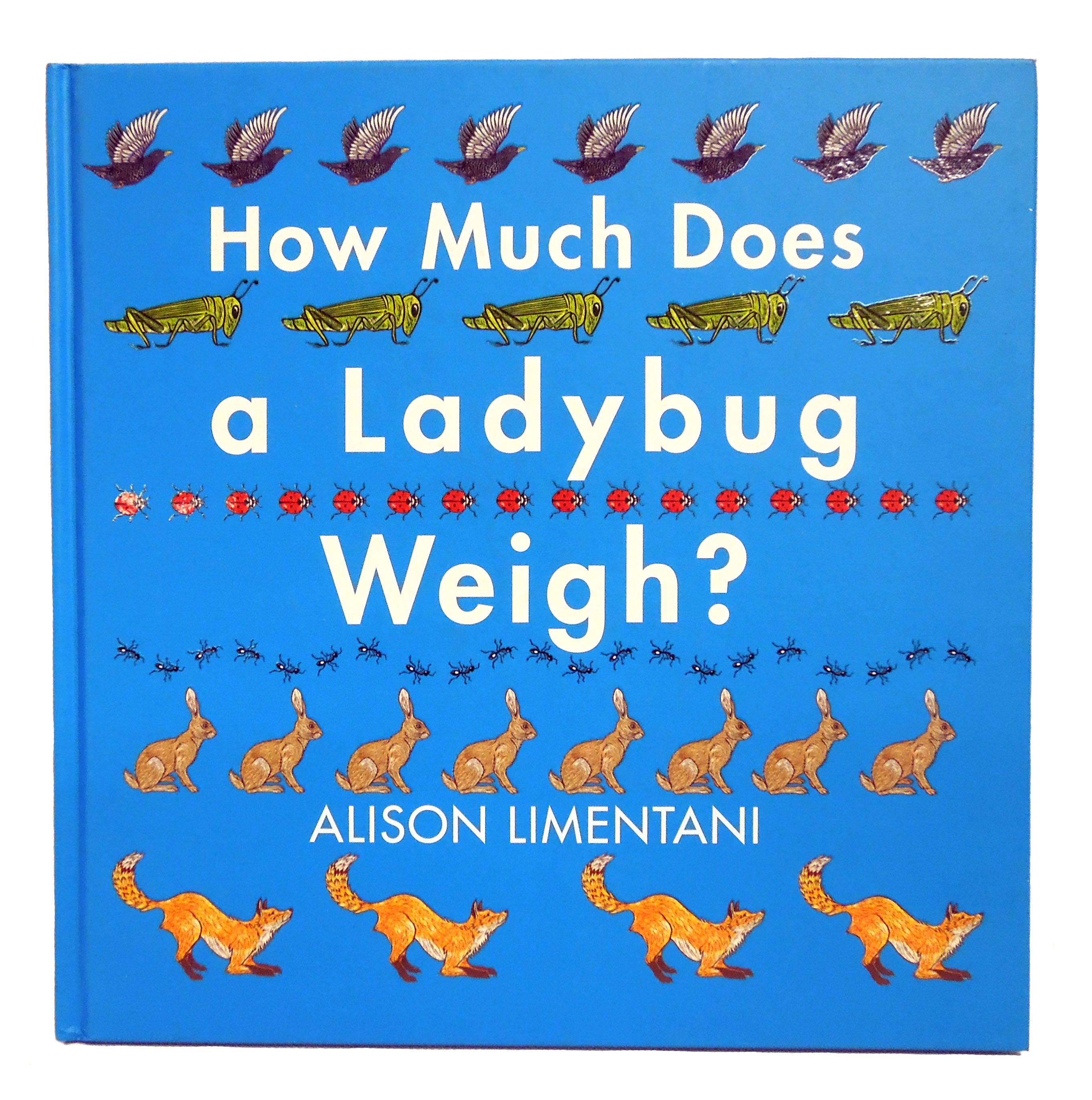 Cover of How Much Does a Ladybug Weigh? book