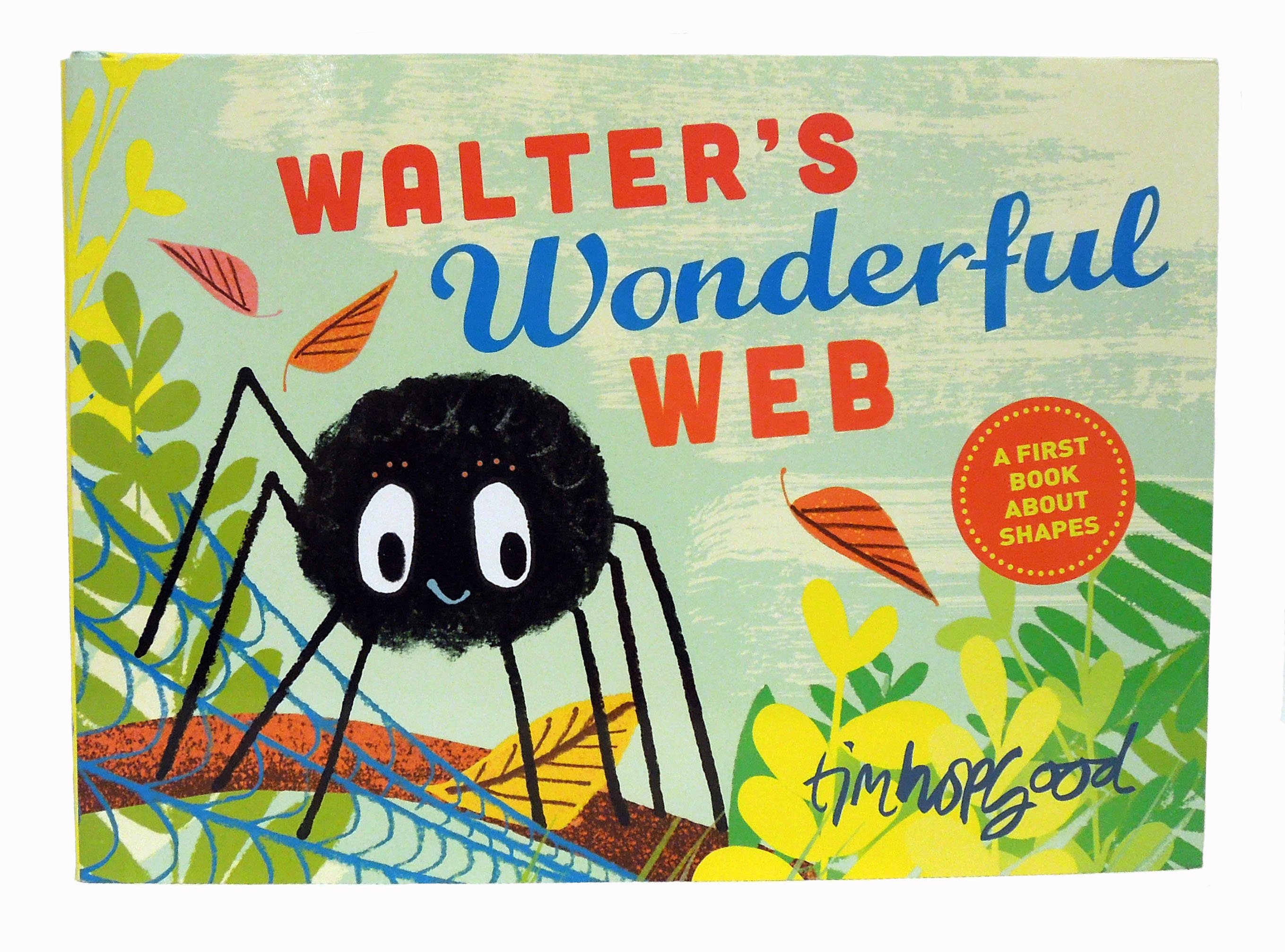Cover of Walter's Wonderful Web book